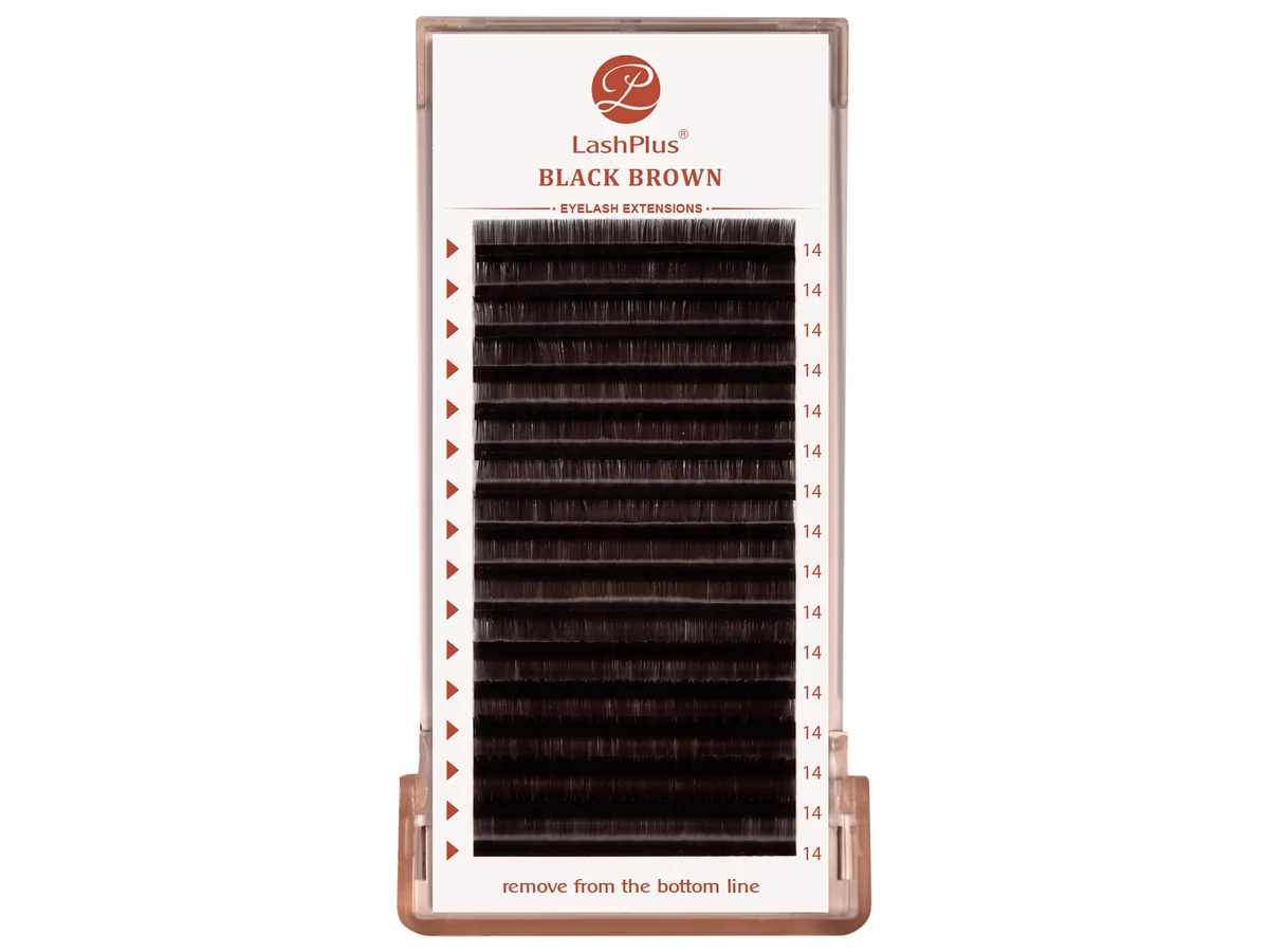 LashPlus Black Brown lash extension tray, the shade a client moves to from black
