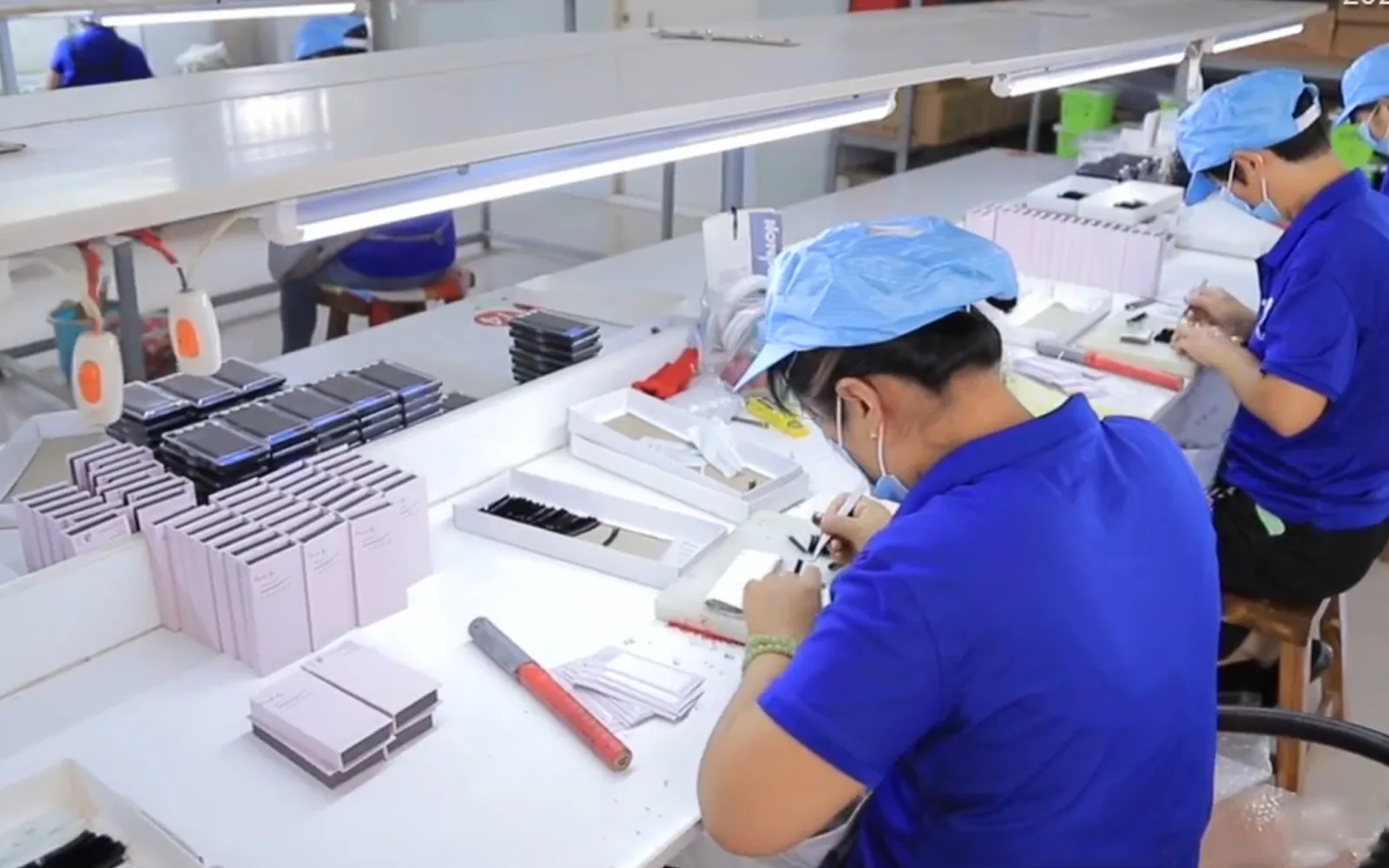 LashPlus production line inside the Pingdu lash cluster