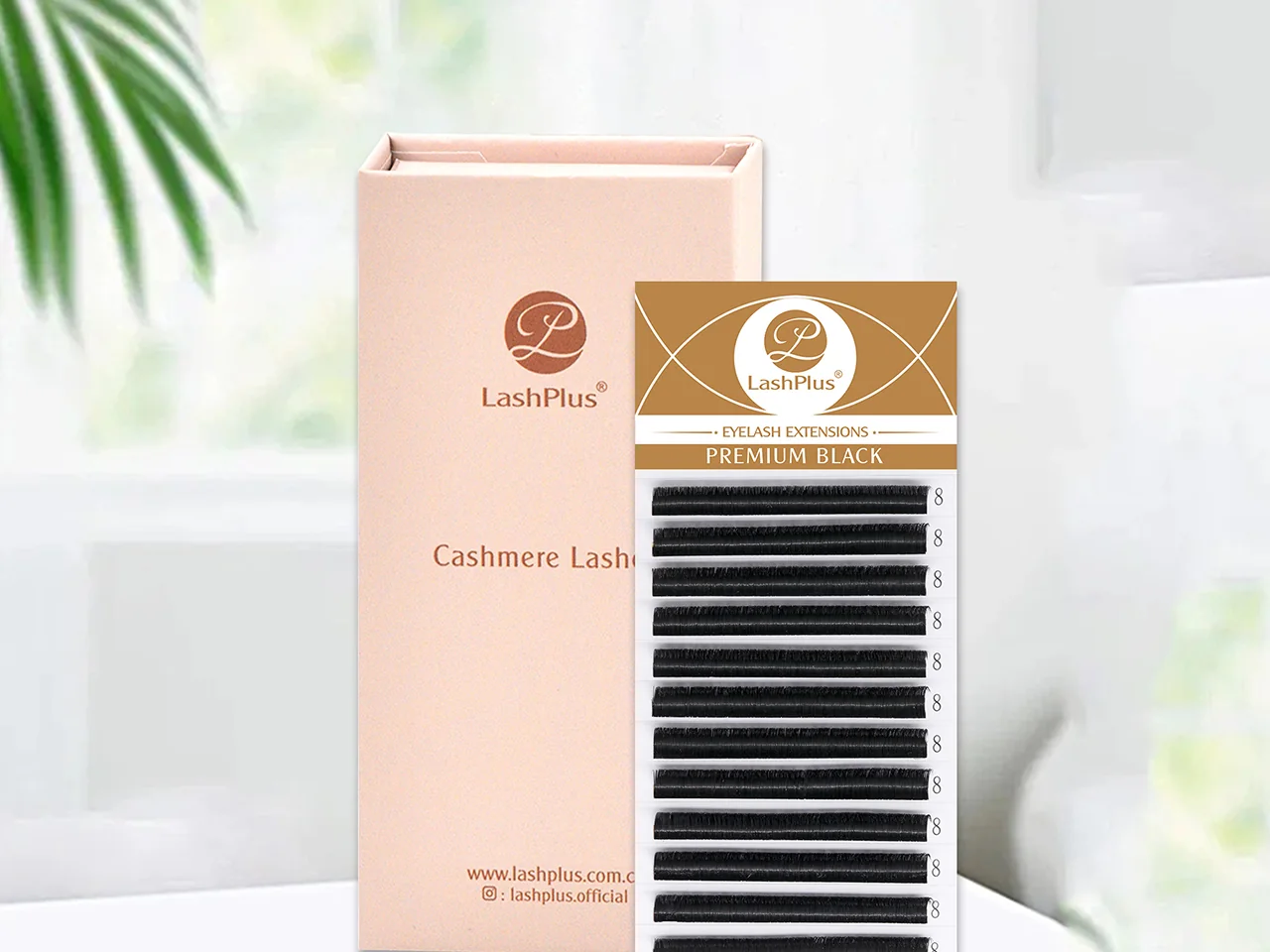 Flat eyelash extension tray beside its private-label box