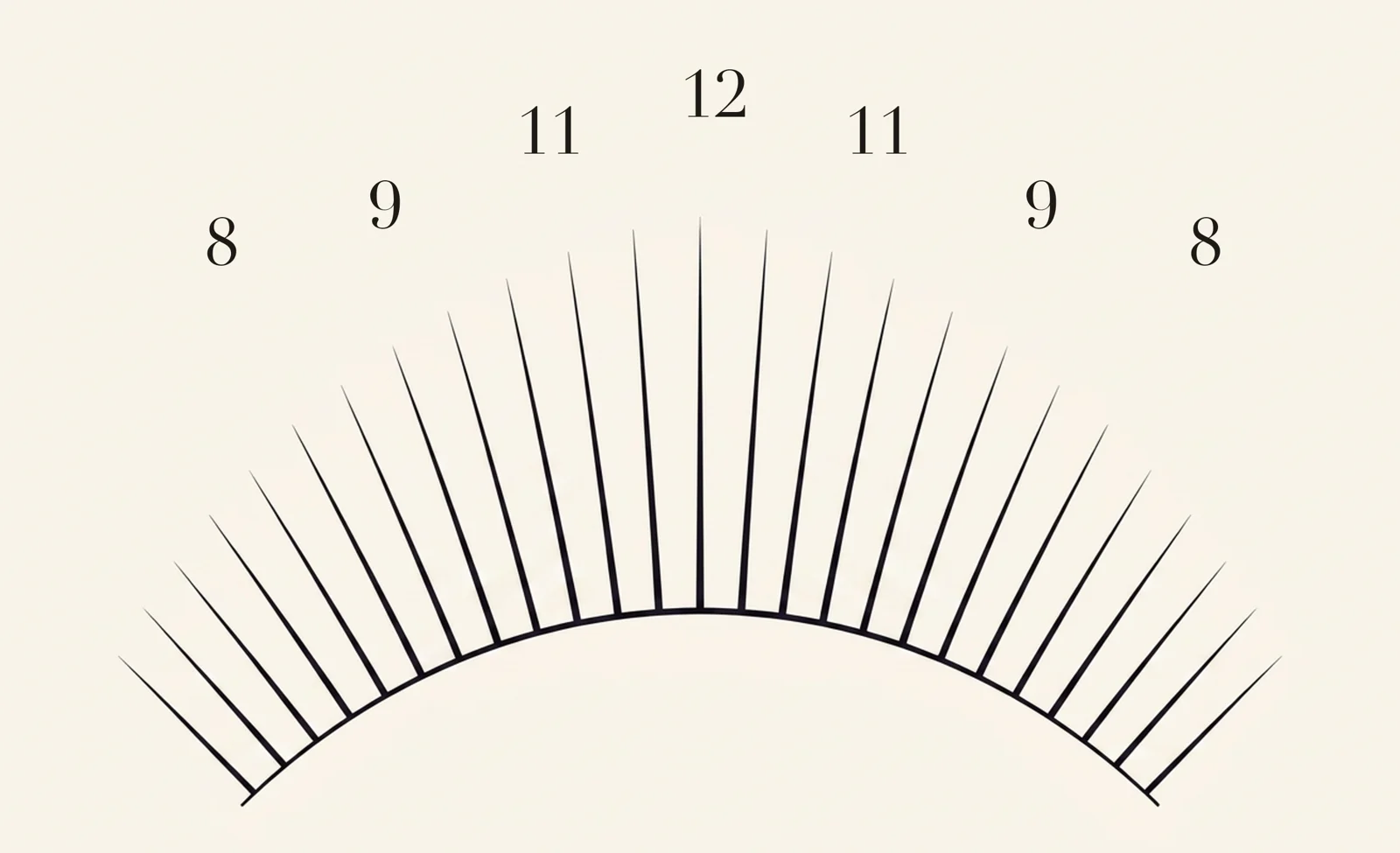 Doll / Barbie lash map — zone lengths 8, 9, 11, 12, 11, 9, 8 mm