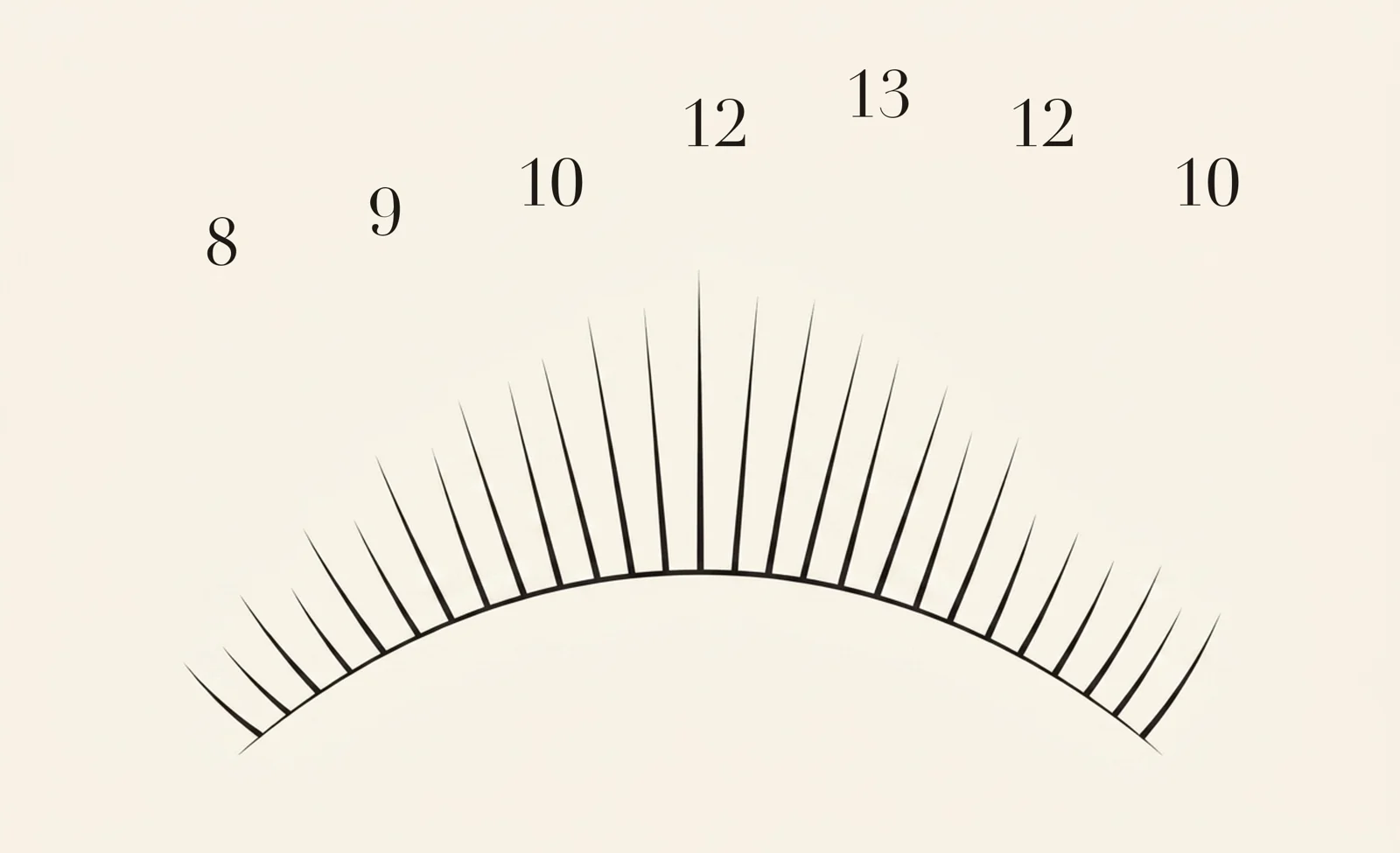 Squirrel lash map — zone lengths 8, 9, 10, 12, 13, 12, 10 mm