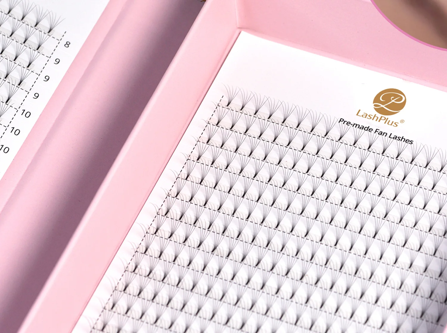 Standard premade fan lashes in an even larger private-label paper tray box with the brand card